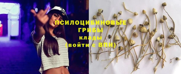 прущие крисы Горно-Алтайск