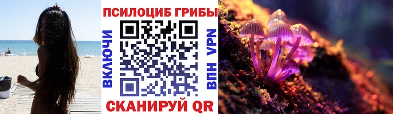 KRAKEN ONION  Невьянск  Галлюциногенные грибы Psilocybine cubensis 